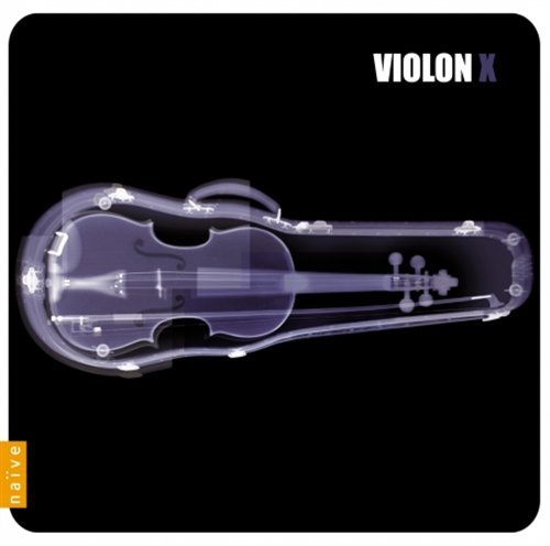 Violonx: Extreme Violin - Vivaldi / Ravel / Bionsi / Bushkov / Ivanov - Musik - AMBROISIE - 0822186051894 - 30. juni 2009