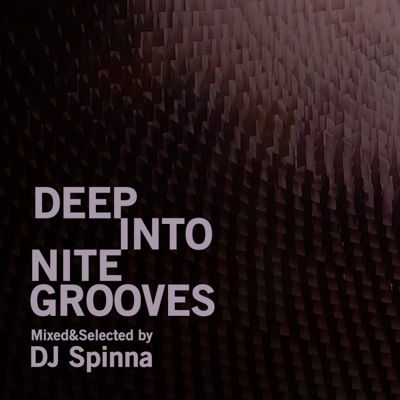 Cover for DJ Spinna · Deep into Nite Grooves Mixed and Selected by DJ Spinna (CD) [Japan Import edition] (2013)