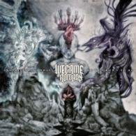 Understanding What We`ve Grown to Be - We Came As Romans - Music - TRIPLE VISION ENTERTAINMENT - 4562181644894 - August 20, 2014