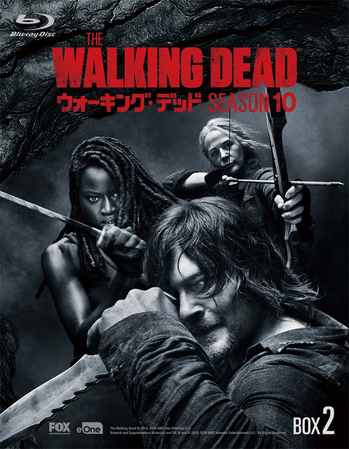 Norman Reedus · The Walking Dead Season 10 DVD Box-2 (MDVD) [Japan