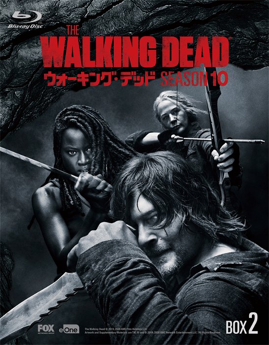 The Walking Dead Season 10 Blu-ray Box-2 - Norman Reedus - Musiikki - KADOKAWA CO. - 4988111155894 - perjantai 24. joulukuuta 2021
