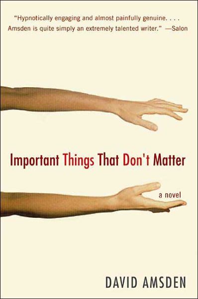 Cover for David Amsden · Important Things That Don't Matter: a Novel (Taschenbuch) (2004)