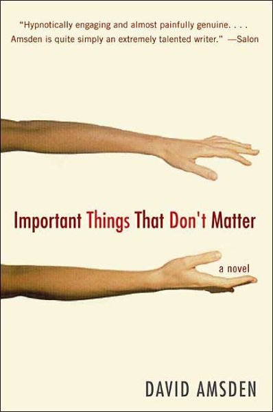 Cover for David Amsden · Important Things That Don't Matter: a Novel (Paperback Book) (2004)