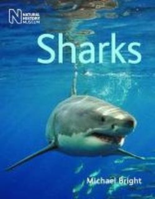 Sharks - Michael Bright - Books - The Natural History Museum - 9780565092894 - October 30, 2011