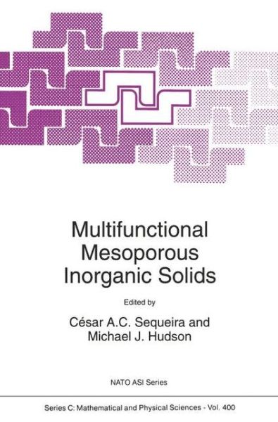 Multifunctional Mesoporous Inorganic Solids - NATO Science Series C - M J Hudson - Böcker - Springer - 9780792322894 - 31 maj 1993