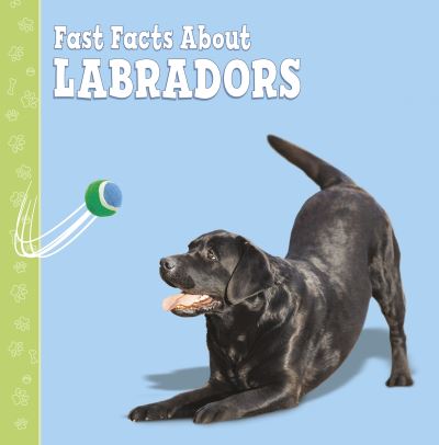 Cover for Marcie Aboff · Fast Facts About Labradors - Fast Facts About Dogs (Paperback Book) (2021)