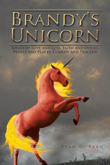 Cover for Stan  C. Berg · Brandy's Unicorn (Paperback Book) (2016)