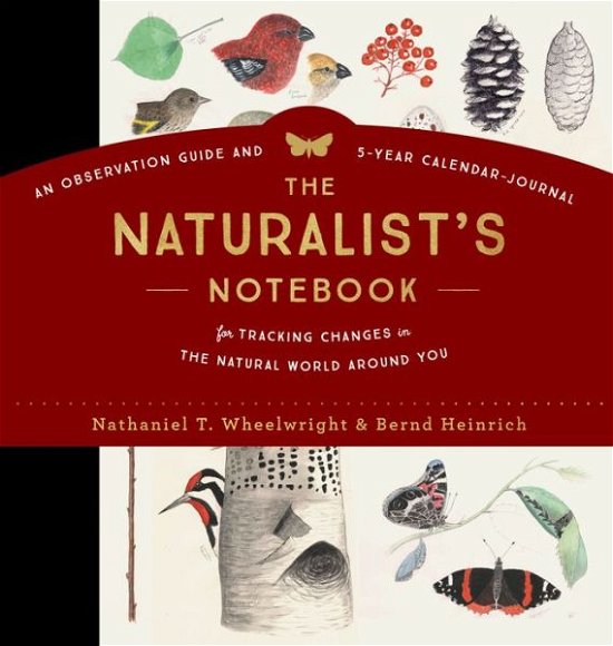 Cover for Bernd Heinrich · The Naturalist's Notebook: An Observation Guide and 5-Year Calendar-Journal for Tracking Changes in the Natural World around You (Hardcover Book) (2017)