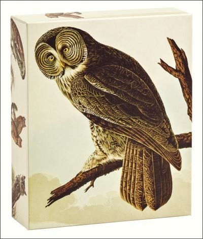 Audubon Owls QuickNotes - QuickNotes - John James Audubon - Bøger - teNeues Calendars & Stationery GmbH & Co - 9781623258894 - 16. september 2021