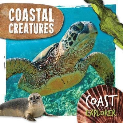 Cover for Robin Twiddy · Coastal Creatures - Coast Explorer (Hardcover Book) (2022)