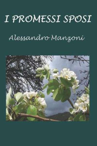 I Promessi Sposi - Alessandro Manzoni - Books - Amazon Digital Services LLC - KDP Print  - 9781795263894 - January 27, 2019