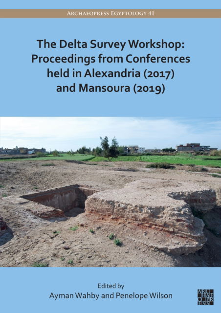 Cover for The Delta Survey Workshop: Proceedings from Conferences held in Alexandria (2017) and Mansoura (2019) - Archaeopress Egyptology (Paperback Book) (2022)