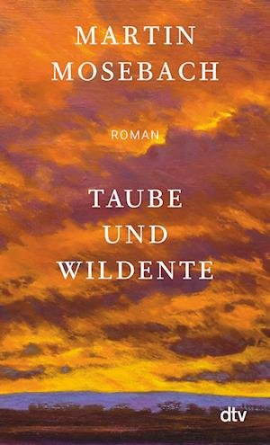 Cover for Martin Mosebach · Taube Und Wildente (Book)
