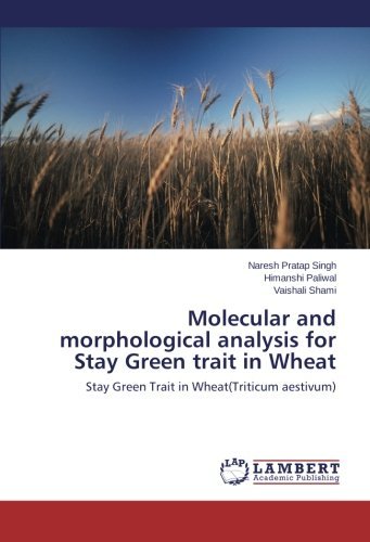 Cover for Vaishali Shami · Molecular and Morphological Analysis for Stay Green Trait in Wheat: Stay Green Trait in Wheat (Triticum Aestivum) (Pocketbok) (2014)