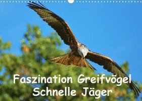 Cover for Lutz Klapp · Faszination Greifvögel Schnelle Jäger (Wandkalender 2022 DIN A3 quer) (Calendar) (2021)