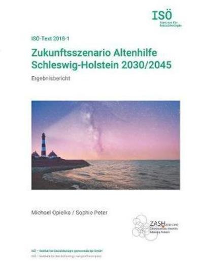 Zukunftsszenario Altenhilfe Sch - Opielka - Libros -  - 9783752857894 - 9 de mayo de 2018
