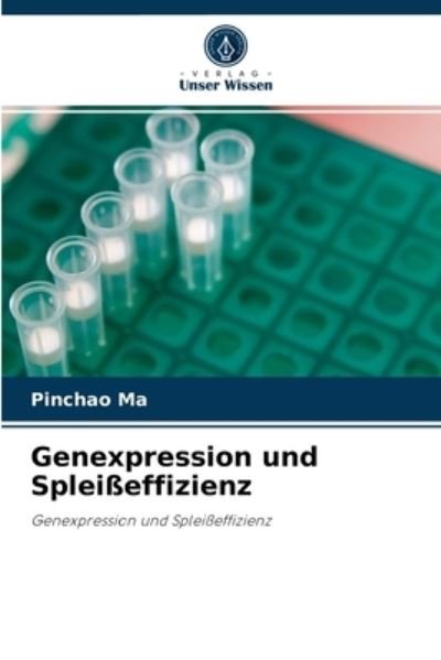 Cover for Pinchao Ma · Genexpression und Spleisseffizienz (Paperback Bog) (2021)
