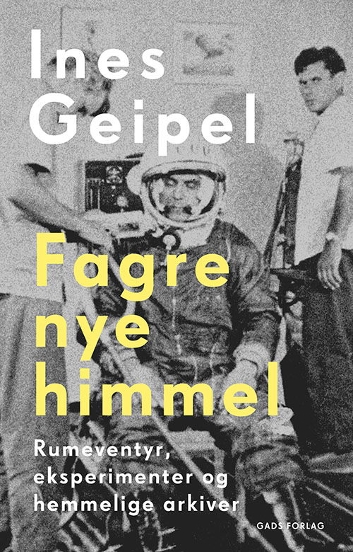 Cover for Ines Geipel · Fagre nye himmel (Sewn Spine Book) [1st edition] (2023)