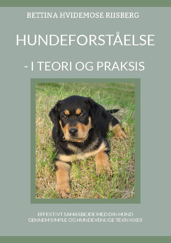 Cover for Bettina Hvidemose; Bettina Hvidemose; Bettina Hvidemose · Hundeforståelse (Pocketbok) [1. utgave] (2023)