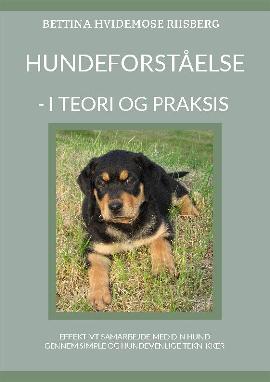 Cover for Bettina Hvidemose; Bettina Hvidemose; Bettina Hvidemose · Hundeforståelse (Taschenbuch) [1. Ausgabe] (2023)
