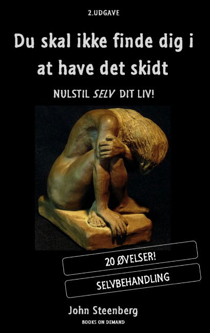 Cover for John Steenberg; John Steenberg · Du skal ikke finde dig i at have det skidt (Paperback Bog) [1. udgave] [Paperback] (2013)