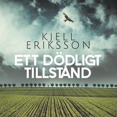 Cover for Kjell Eriksson · Ann Lindell: Ett dödligt tillstånd (Lydbok (MP3)) (2021)