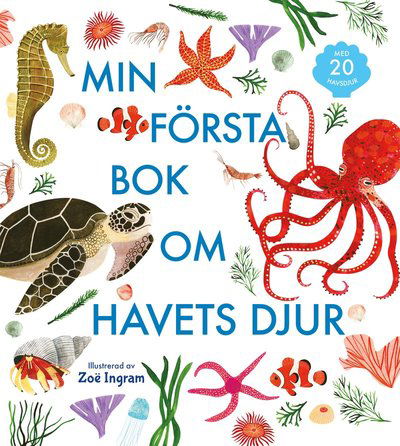 Cover for Zoë Ingram · Min första bok om havets djur (Inbunden Bok) (2021)