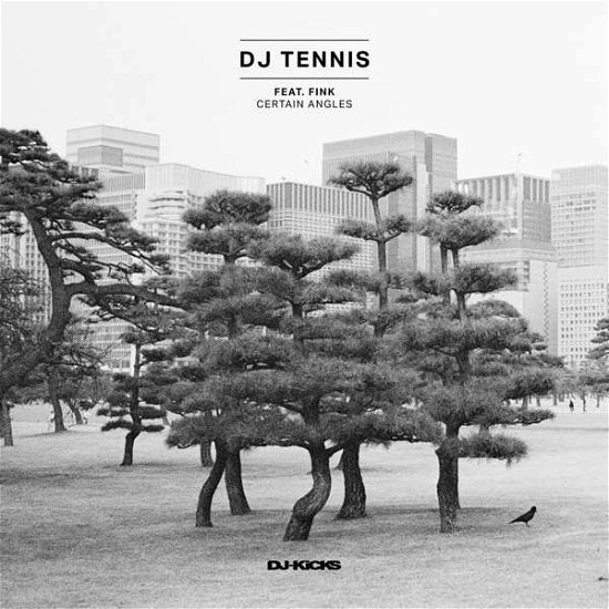 Cover for Dj Tennis · Certain Angles (LP) (2017)