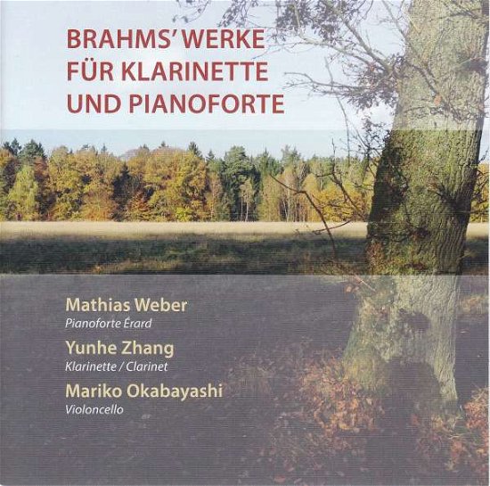 Cover for Brahms J. · Werke Fur Klarinette &amp;.. (CD) (2020)