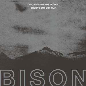 Cover for Bison · You Are Not the Ocean You Are the Patient (CD) (2017)