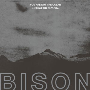 You Are Not the Ocean You Are the Patient - Bison - Muziek - PELAGIC RECORDS - 4059251101895 - 23 juni 2017