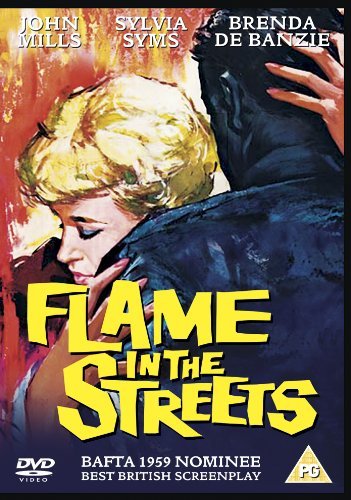 Cover for Flame in the Streets · Flame In The Streets (DVD) (2011)