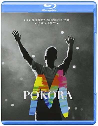 La Poursuite Du Bonheur Tour - M Pokora - Filme - PLG France - 5099995808895 - 2010