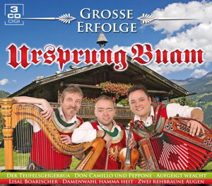 Cover for Ursprung Buam · Grosse Erfolge (CD) (2015)