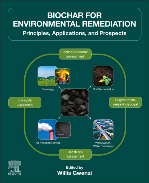 Cover for Biochar for Environmental Remediation: Principles, Applications, and Prospects (Paperback Book) (2025)