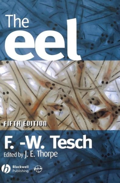 Cover for Tesch, Frederich W. (Eel expert) · The Eel (Hardcover Book) (2003)