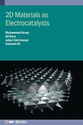 2D Materials as Electrocatalysts - IOP ebooks - Ali Raza - Books - Institute of Physics Publishing - 9780750352895 - December 23, 2024