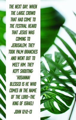 Cover for Broadman Church Supplies Staff · Blessed Is the King of Israel Bulletin (Pkg 100) Palm Sunday (Paperback Book) (2022)