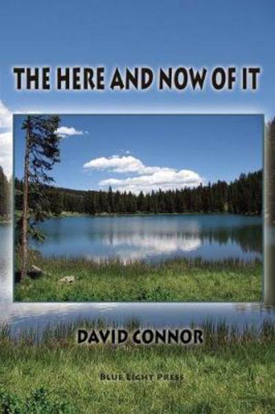 The Here and Now of It - David Connor - Books - Blue Light Press - 9781421837895 - September 26, 2017