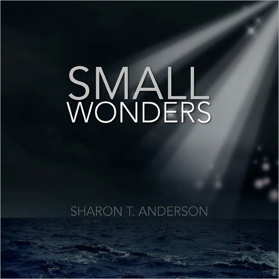 Cover for Sharon T Anderson · Small Wonders (Paperback Book) (2010)