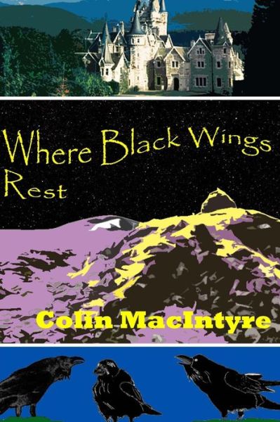 Where Black Wings Rest - Colin Macintyre - Kirjat - Createspace - 9781490460895 - tiistai 18. kesäkuuta 2013