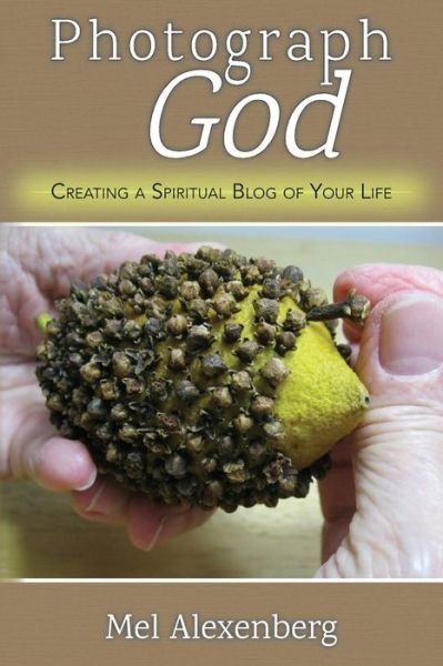 Cover for Mel Alexenberg · Photograph God: Creating a Spiritual Blog of Your Life (Pocketbok) (2015)