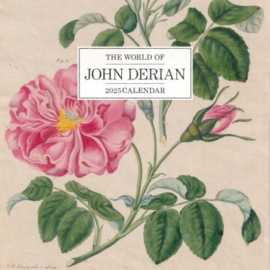 The World of John Derian Wall Calendar 2025 - John Derian - Merchandise - Workman Publishing - 9781523526895 - August 8, 2024