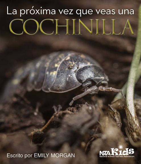 Cover for Emily Morgan · La Proxima Vez Que Veas una Cochinilla - Next Time You See (Taschenbuch) (2016)