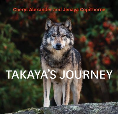 Cover for Cheryl Alexander · Takaya's Journey (Hardcover Book) (2021)