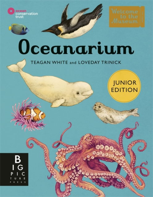 Cover for Loveday Trinick · Oceanarium (Junior Edition) - Welcome To The Museum (Hardcover Book) [Junior edition] (2024)