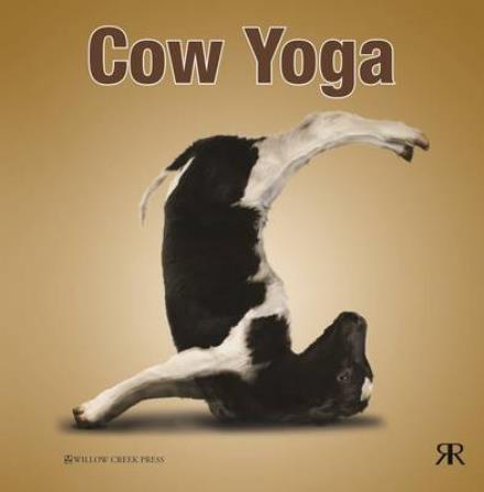 Cover for Willow Creek Press · Cow Yoga (Hardcover Book) (2015)