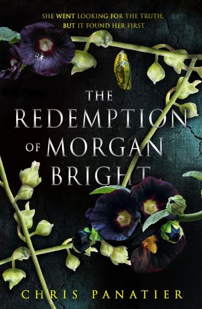 Cover for Chris Panatier · The Redemption of Morgan Bright (Paperback Book) [New edition] (2024)