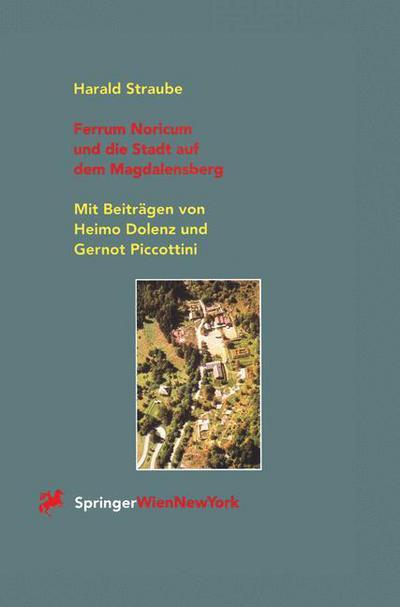 Cover for Harald Straube · Ferrum Noricum Und Die Stadt Auf Dem Magdalensberg (Paperback Book) [German edition] (1996)