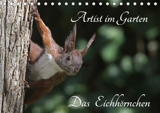 Cover for Konieczka · Artist im Garten. Das Eichhör (Book)